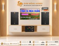 DÀN ÂM THANH KARAOKE GIA ĐÌNH CB510