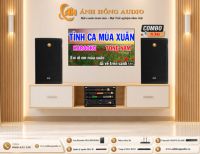 DÀN ÂM THANH KARAOKE GIA ĐÌNH CB530